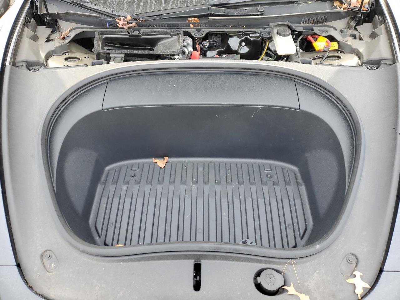 Tesla Model 3 Image 4