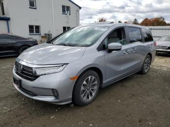  Salvage Honda Odyssey