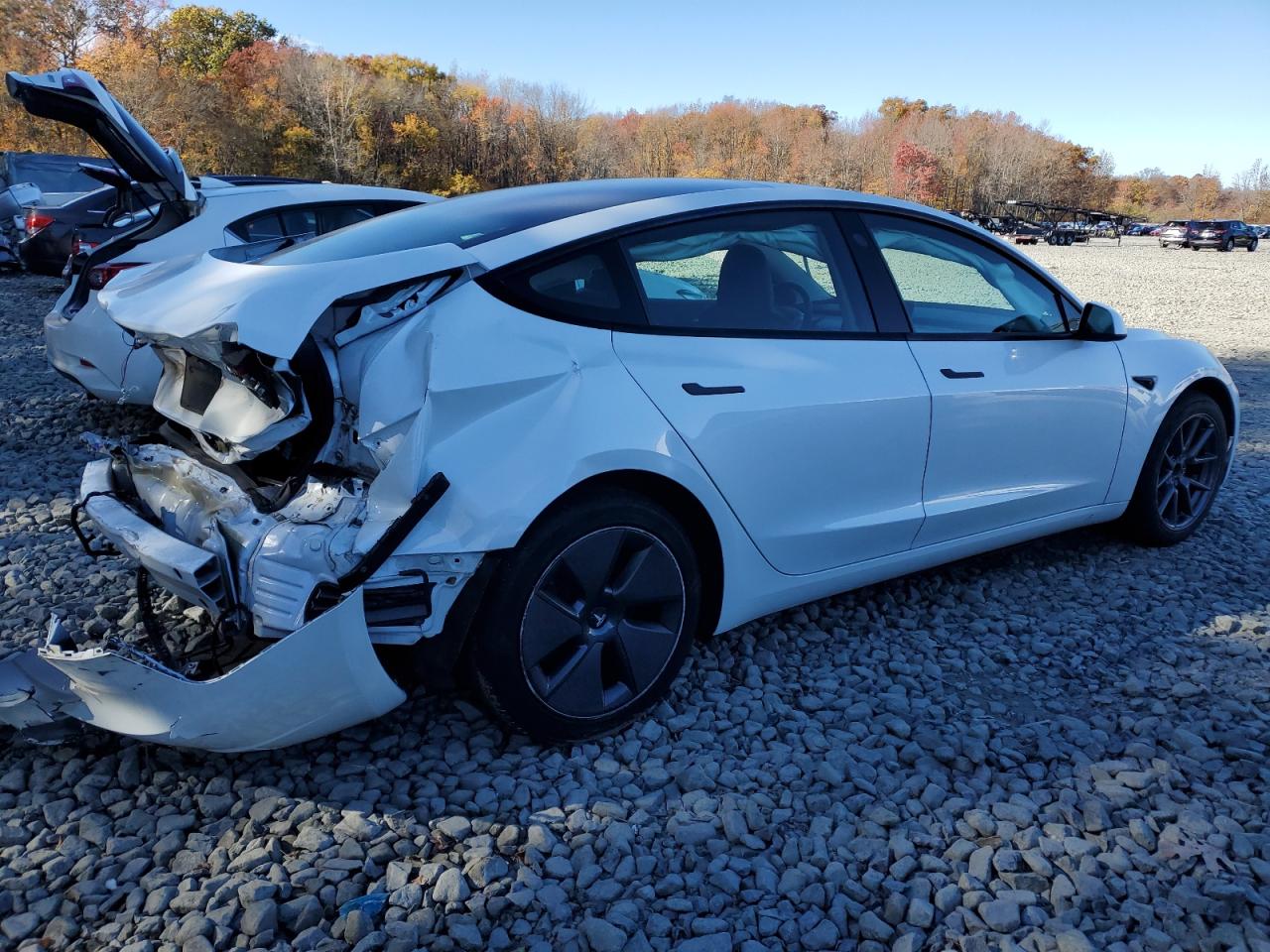 Tesla Model 3 Image 12