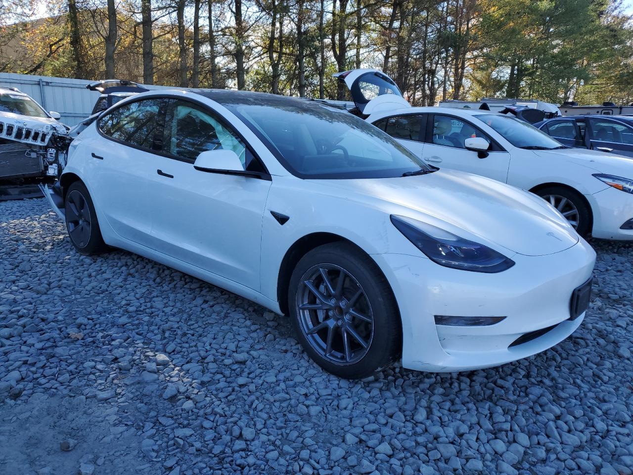 Tesla Model 3 Image 10