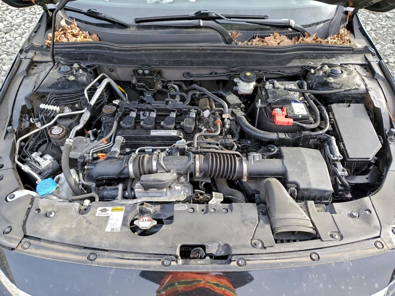 Honda Accord Exl Image 8