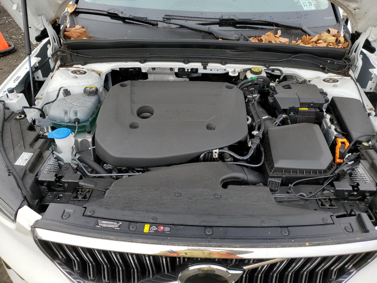 Volvo Xc40 Plus Plus Image 10