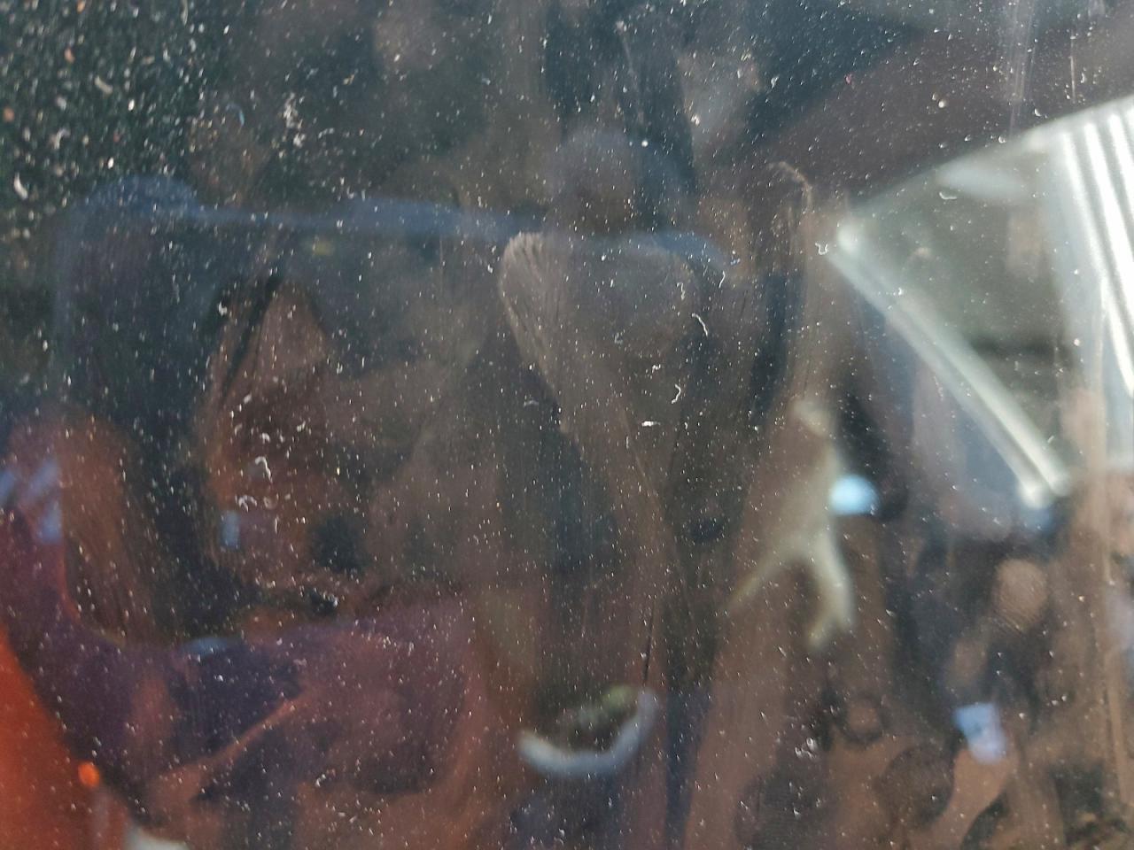 Tesla Model 3 Image 7