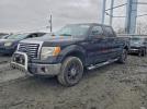 Ford F-150 Supercrew Image 1