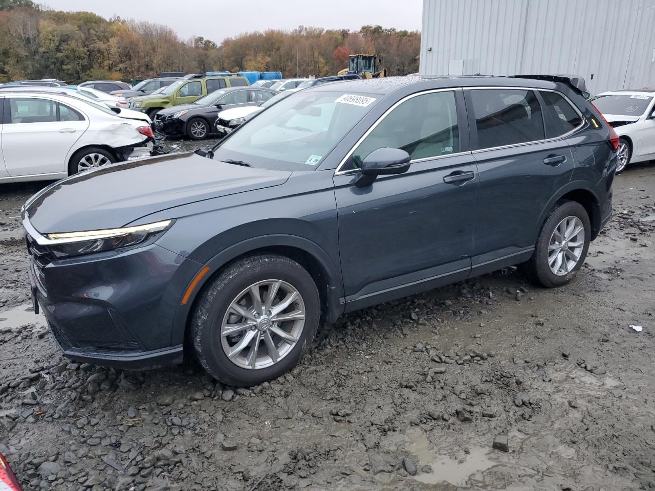 Honda Crv Exl Image 1