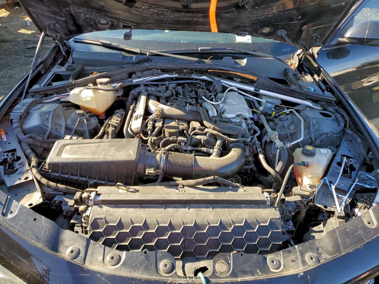 Alfa Romeo Giulia Image 5