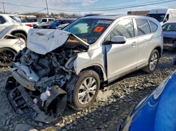  Salvage Honda Crv