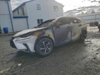  Salvage Lexus NX