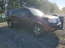 Honda Pilot Exl Image 3