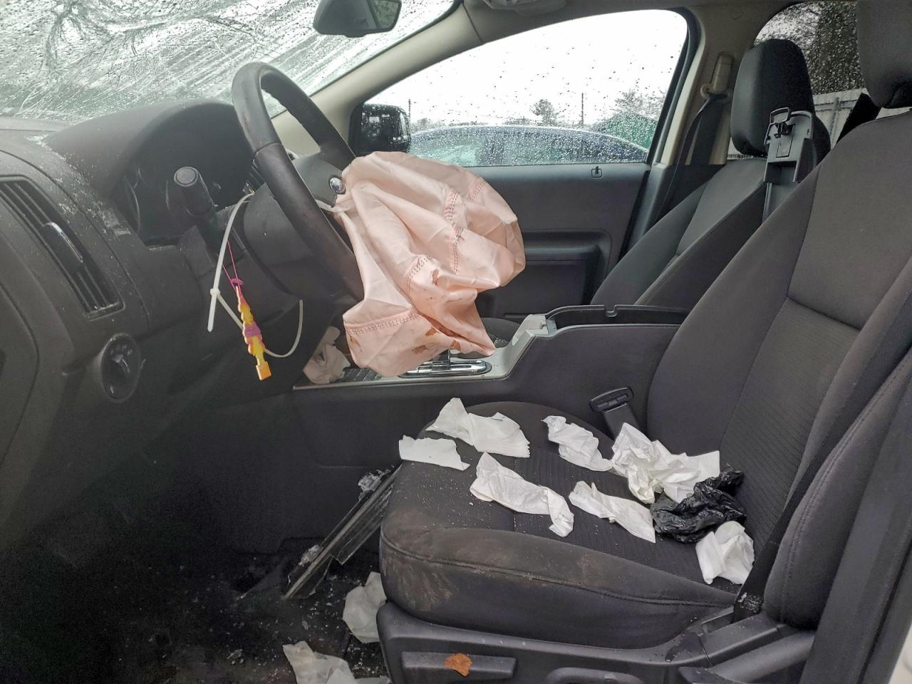 Ford Edge Sel Image 6