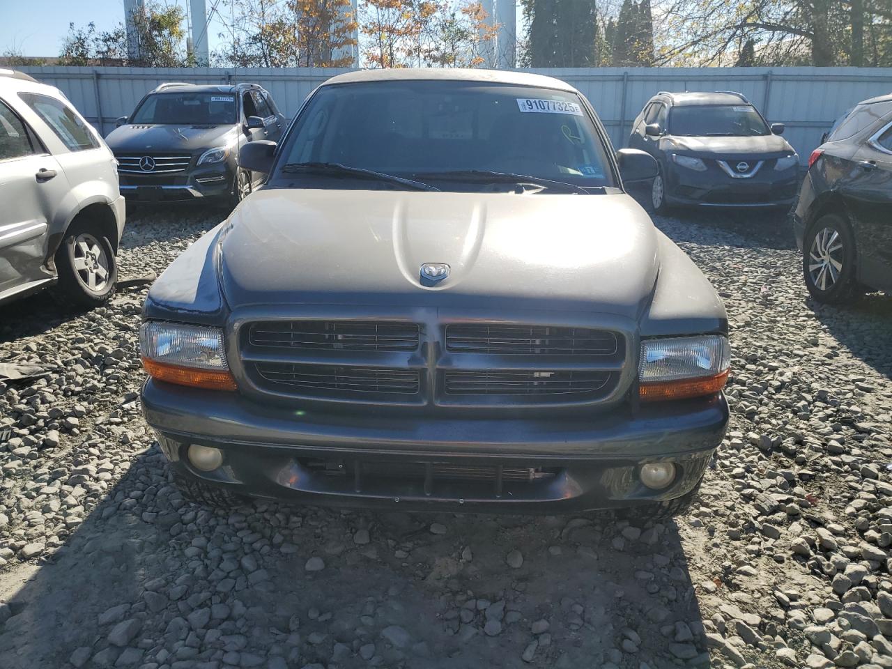 Dodge Dakota Sport Image 11