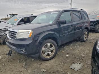  Salvage Honda Pilot