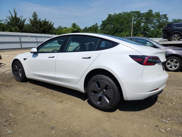 Tesla Model 3 Image 2