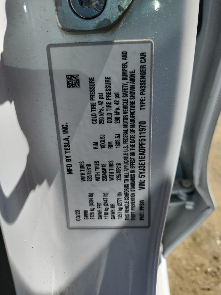 Tesla Model 3 Image 3