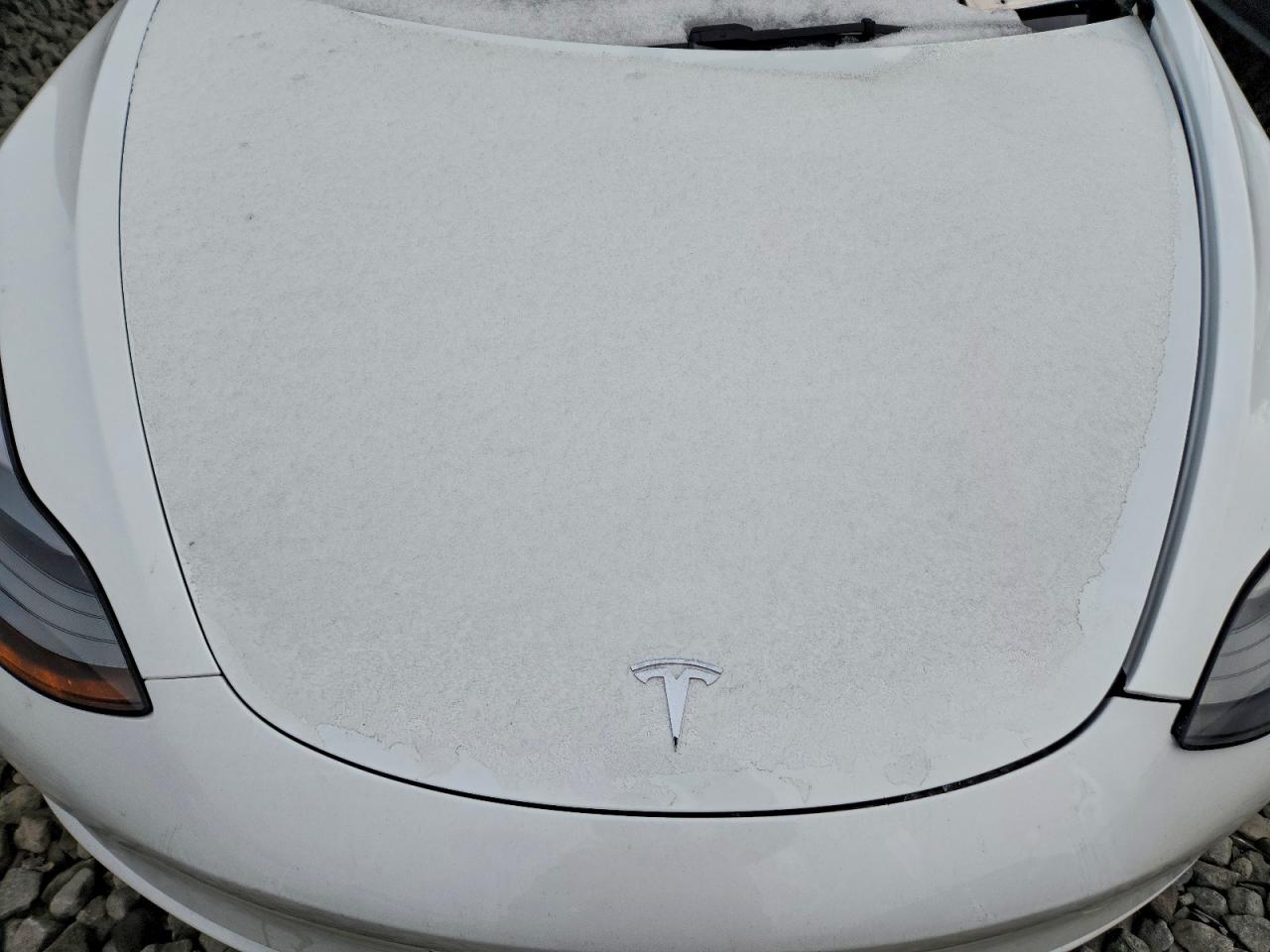 Tesla Model 3 Image 6