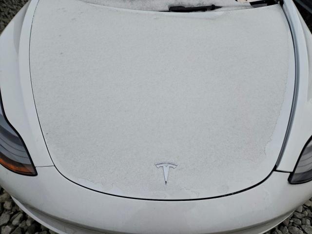 Tesla Model 3 Image 6