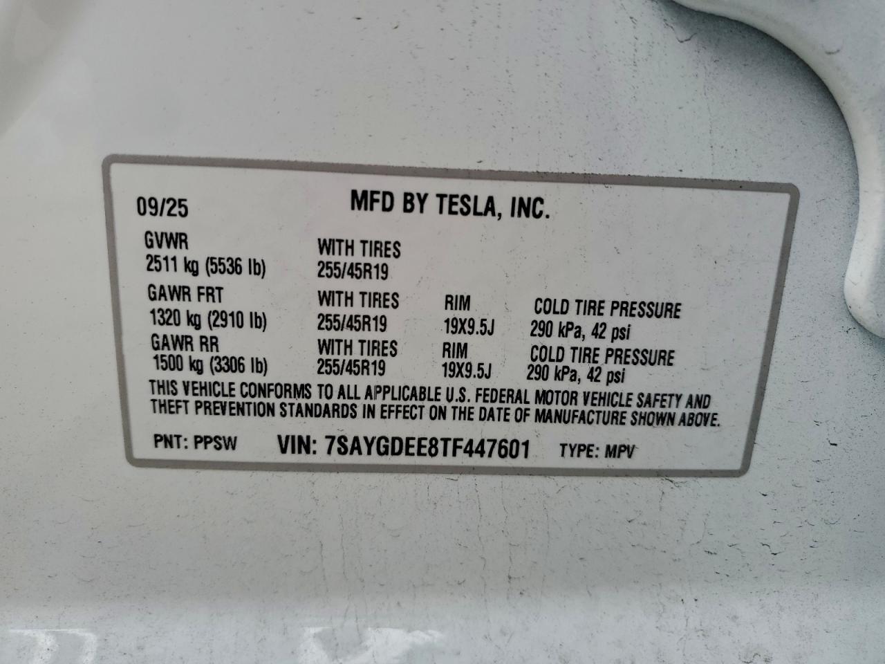 Tesla Model Y Image 12