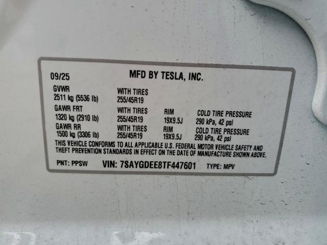 Tesla Model Y Image 12