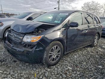  Salvage Honda Odyssey