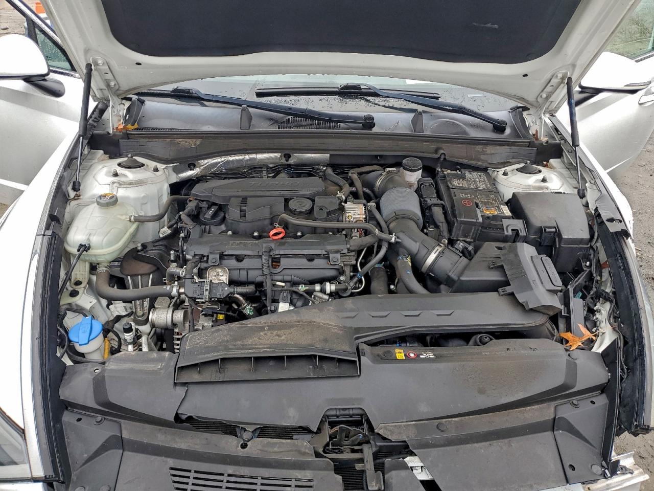 Hyundai SONATA Limited Image 11