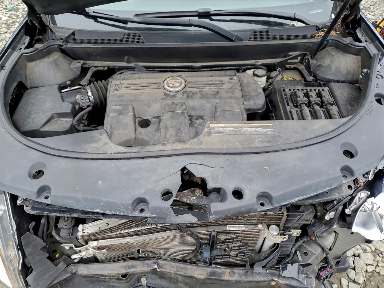 Cadillac SRX Luxury Collection Image 12