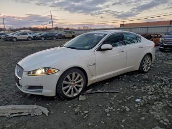  Salvage Jaguar XF