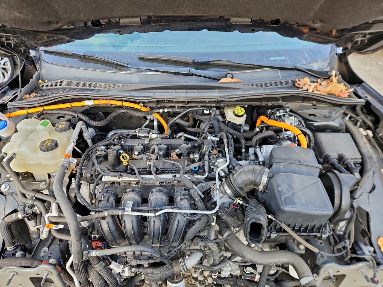 Ford Escape Se Sport Image 8