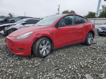 Salvage Tesla Model Y