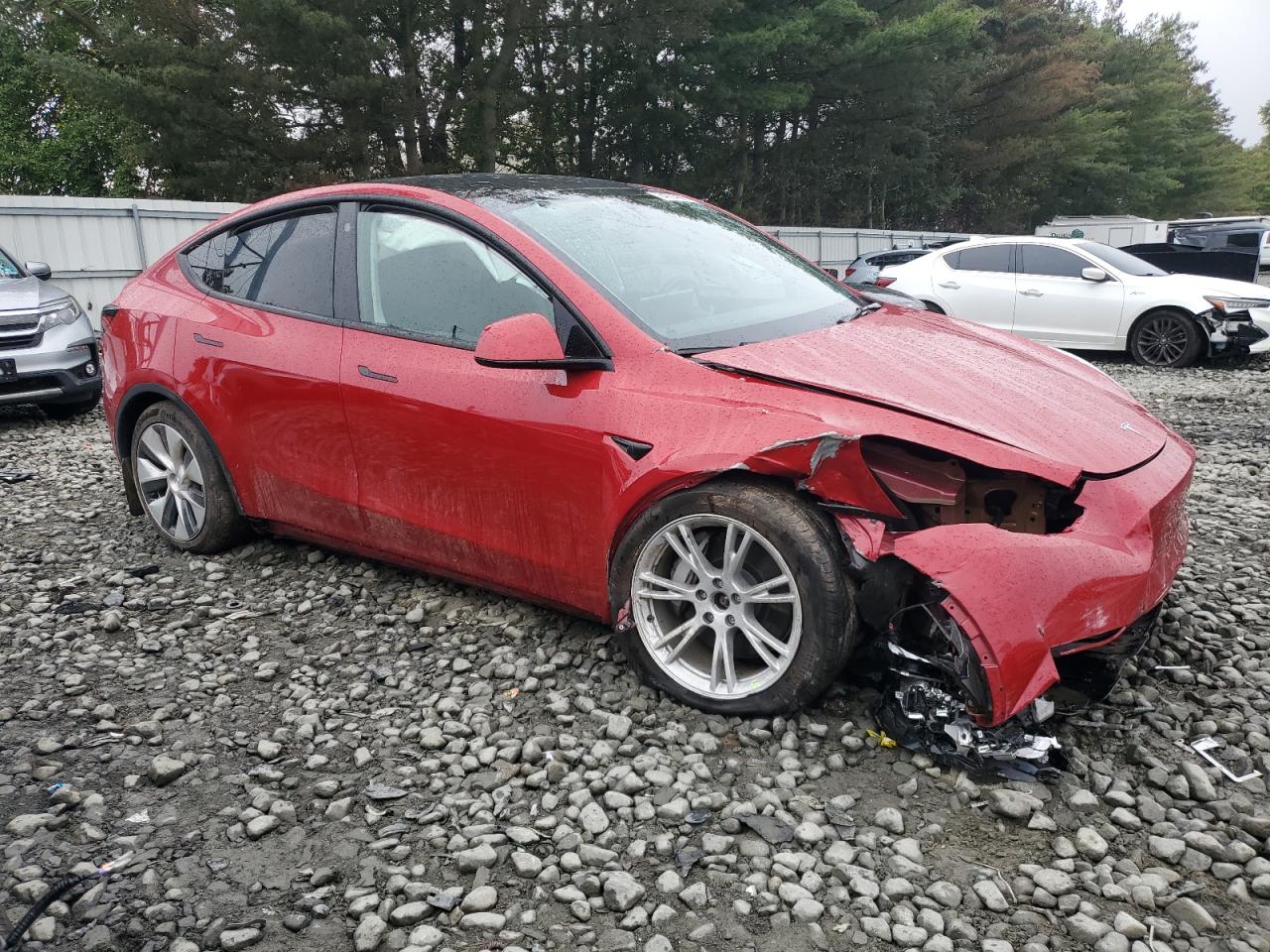 Tesla Model Y Image 4