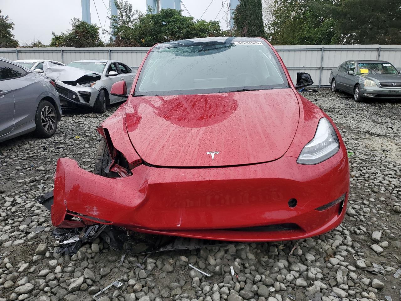 Tesla Model Y Image 12