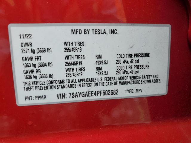 Tesla Model Y Image 5