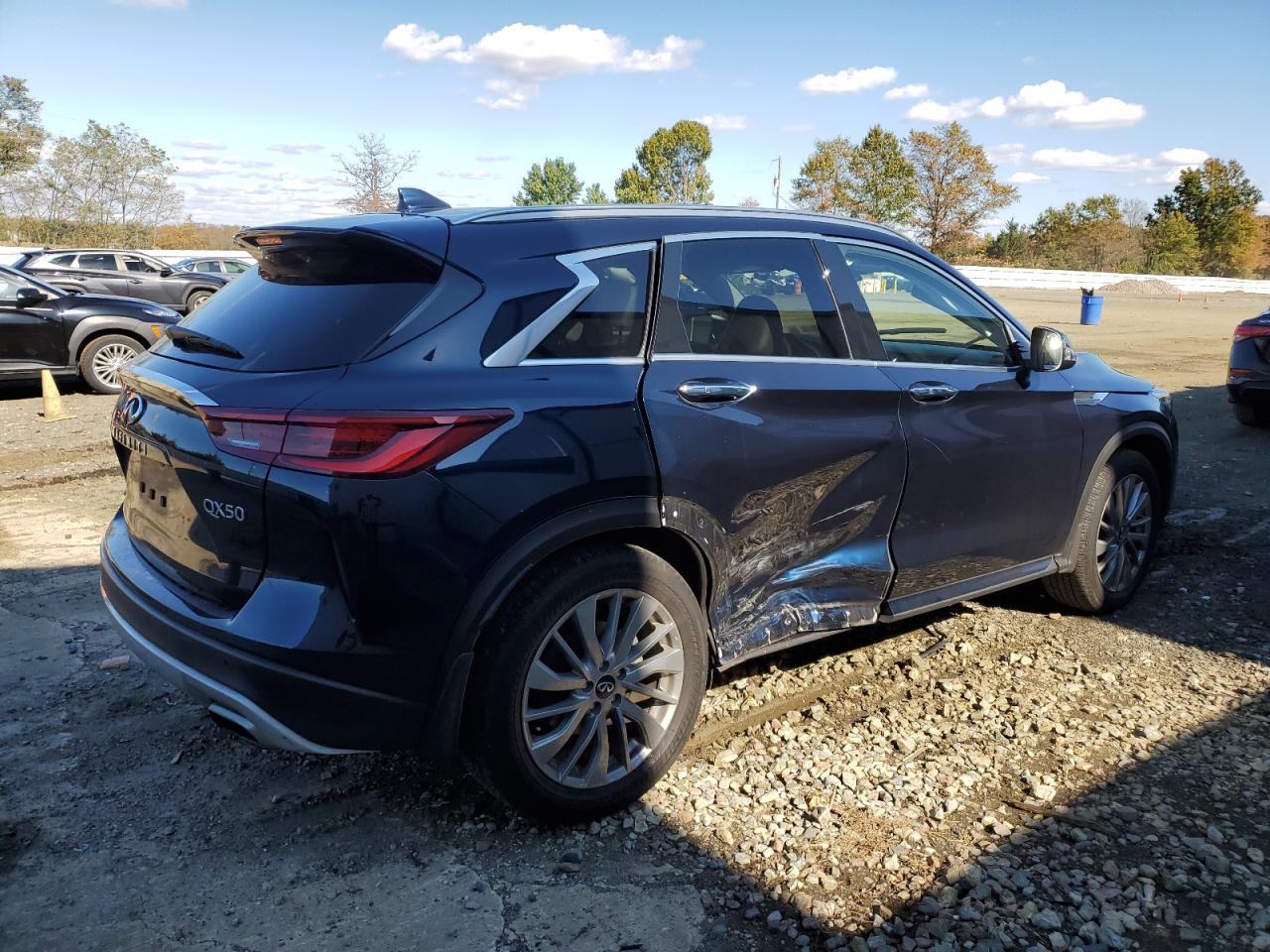 INFINITI Qx Luxe Image 11